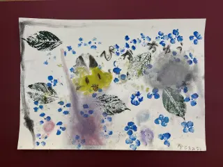 まぼろし紫陽花（あじさい）