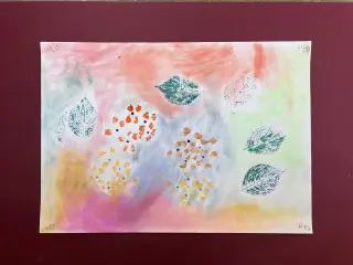 まぼろし紫陽花（あじさい）