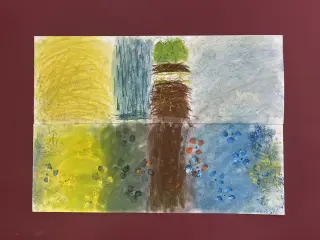 まぼろし紫陽花（あじさい）