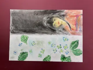 まぼろし紫陽花（あじさい）