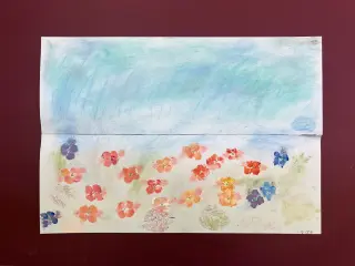 まぼろし紫陽花（あじさい）