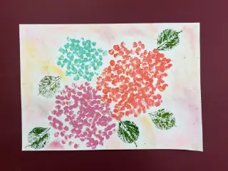 まぼろし紫陽花（あじさい）