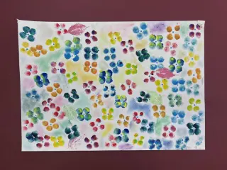 まぼろし紫陽花（あじさい）