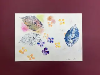 まぼろし紫陽花（あじさい）